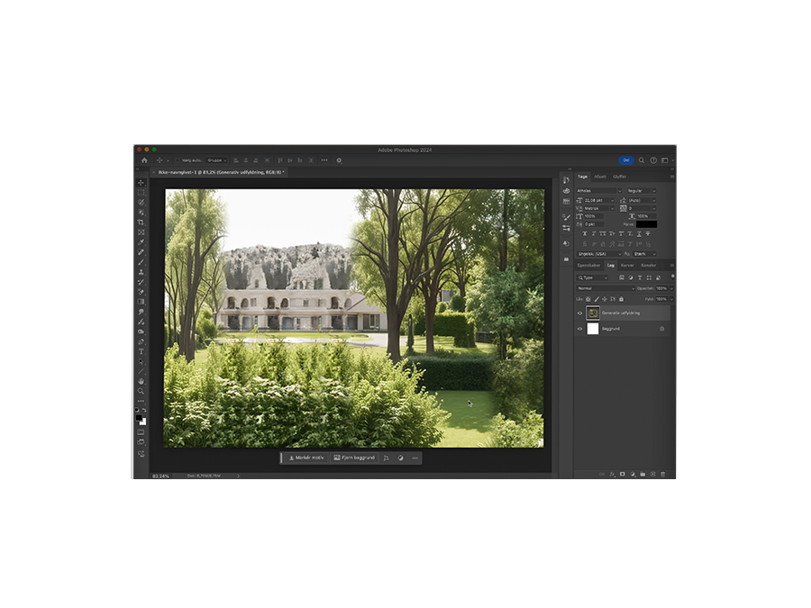 Photoshop window